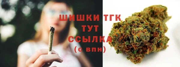 шишки Бугульма