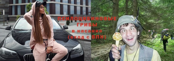 герыч Бородино