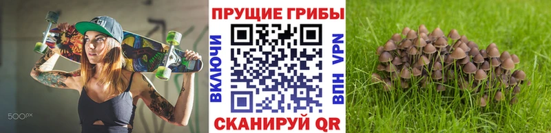кракен как зайти  Мелеуз  Галлюциногенные грибы Cubensis  купить наркотик 